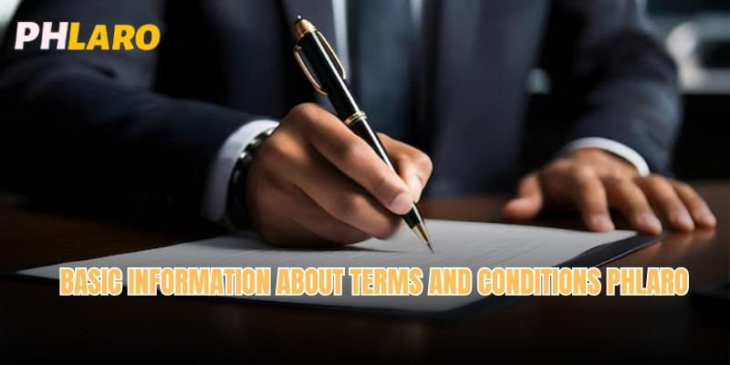 Basic information about Terms and Conditions Phlaro